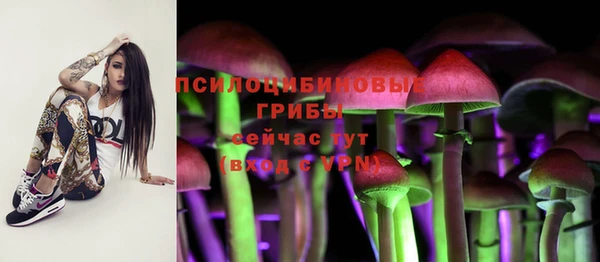 эйфоретик Белокуриха