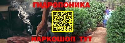 apvp Бийск