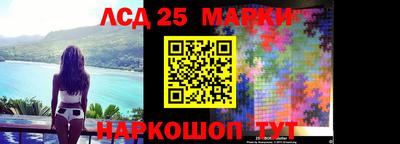 apvp Бийск