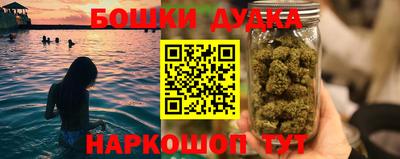 apvp Бийск