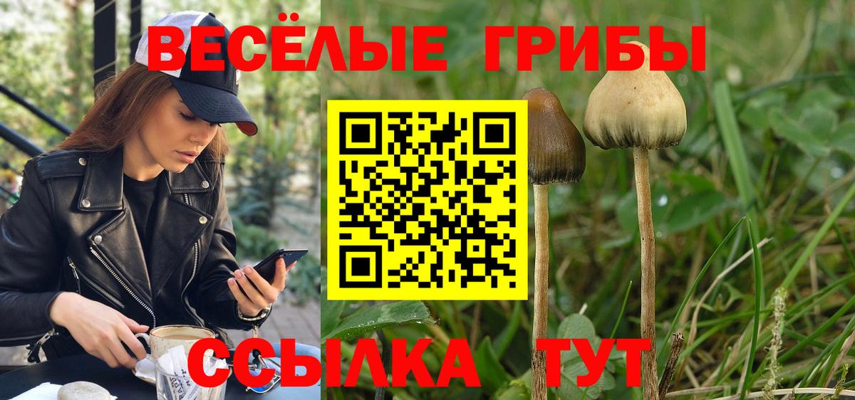 Галлюциногенные грибы Cubensis Боровичи